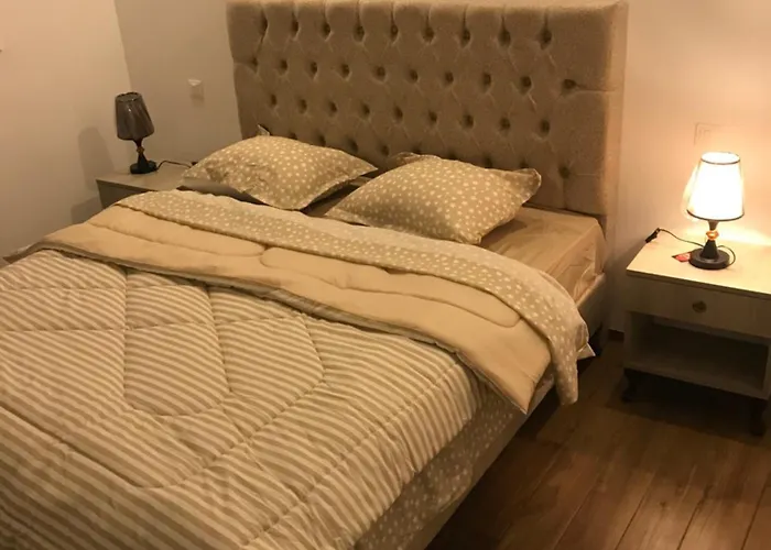 Appartement Neuf A Jardin De Carthage